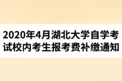 2020年4月湖北大学自学考试校内考生报考费补缴的通知