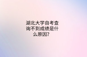 湖北大学自考查询不到成绩是什么原因？