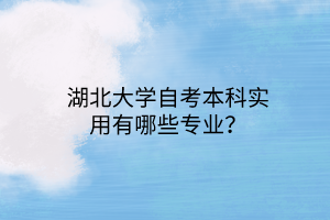 湖北大学自考本科实用有哪些专业？