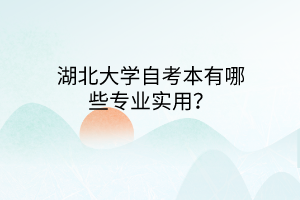 湖北大学自考本有哪些专业实用？