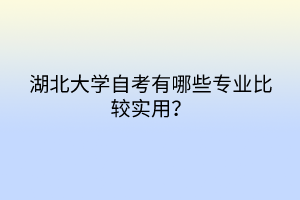 湖北大学自考有哪些专业比较实用？